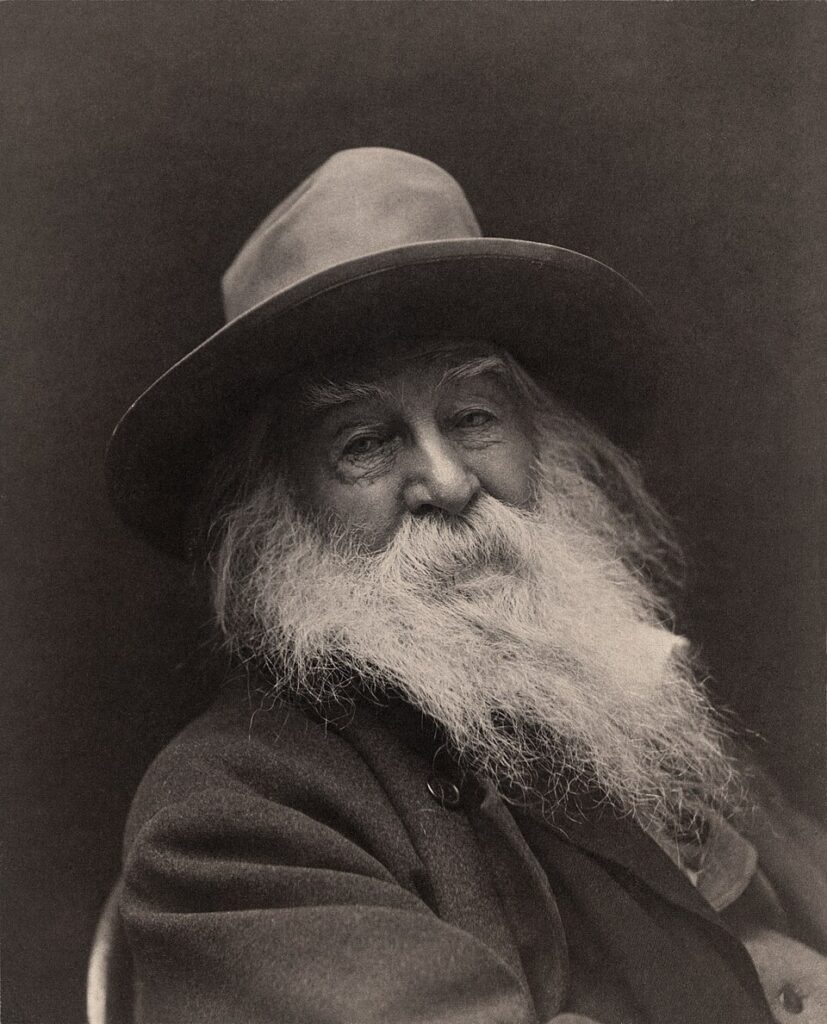 A picture of Walt Whitman